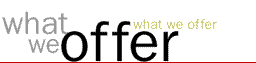 What we offer